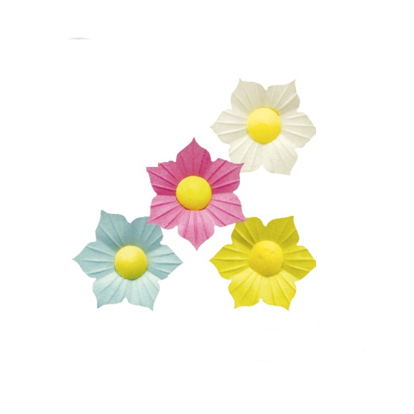 Вафельные Нарциссы, 5шт