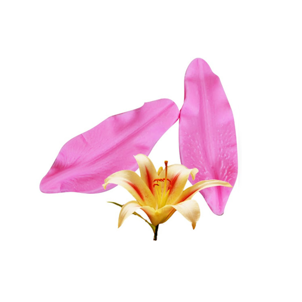 Вайнер Лилии