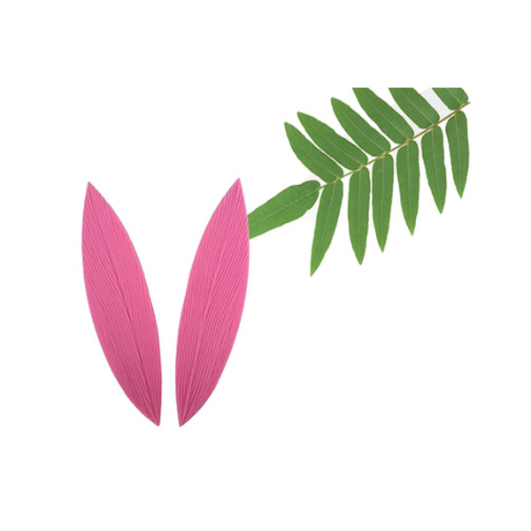 Вайнер лист папоротника